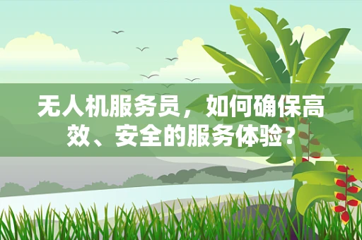 无人机服务员，如何确保高效、安全的服务体验？