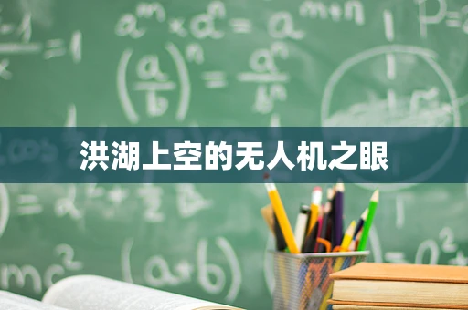 洪湖上空的无人机之眼