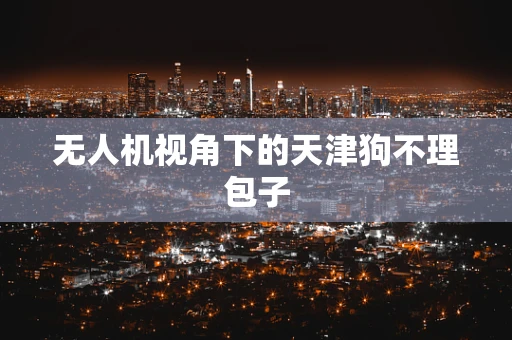无人机视角下的天津狗不理包子
