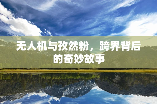 无人机与孜然粉，跨界背后的奇妙故事