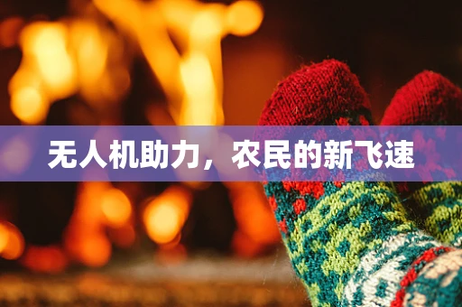 无人机助力，农民的新飞速