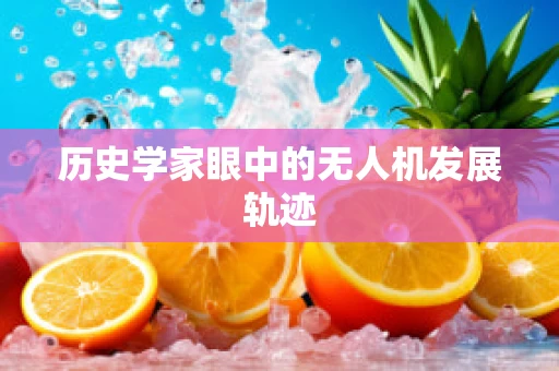 历史学家眼中的无人机发展轨迹