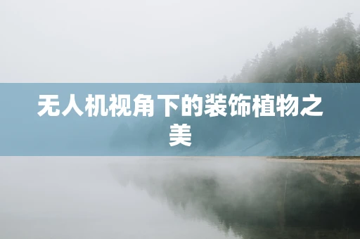 无人机视角下的装饰植物之美