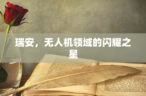 瑞安，无人机领域的闪耀之星