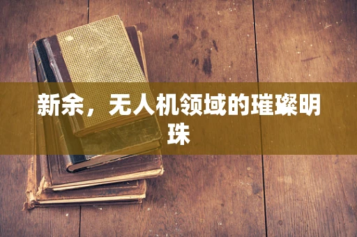 新余，无人机领域的璀璨明珠