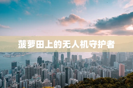 菠萝田上的无人机守护者
