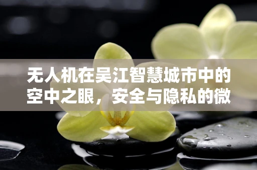 无人机在吴江智慧城市中的空中之眼，安全与隐私的微妙平衡