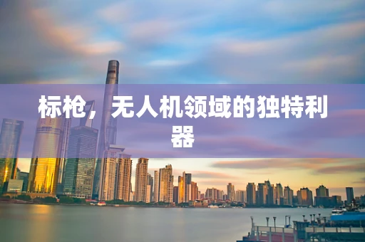 标枪，无人机领域的独特利器