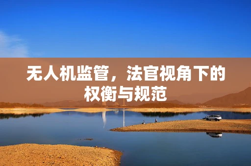 无人机监管，法官视角下的权衡与规范