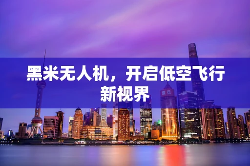 黑米无人机，开启低空飞行新视界