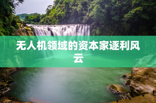 无人机领域的资本家逐利风云