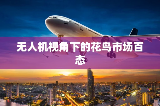 无人机视角下的花鸟市场百态