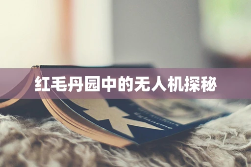 红毛丹园中的无人机探秘