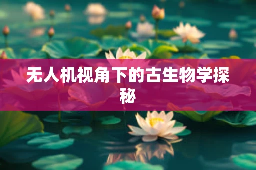 无人机视角下的古生物学探秘
