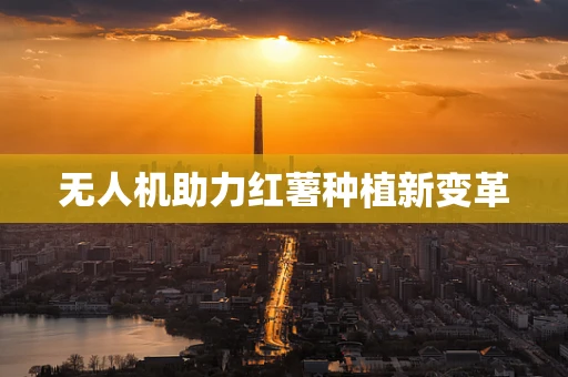 无人机助力红薯种植新变革