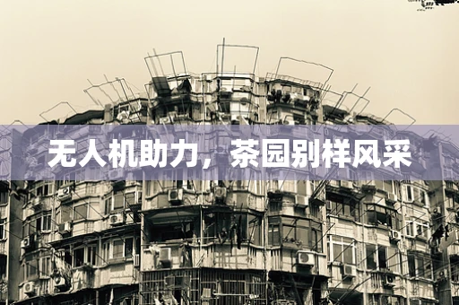 无人机助力，茶园别样风采