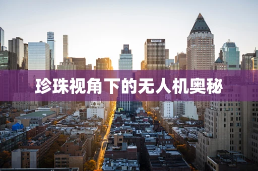 珍珠视角下的无人机奥秘