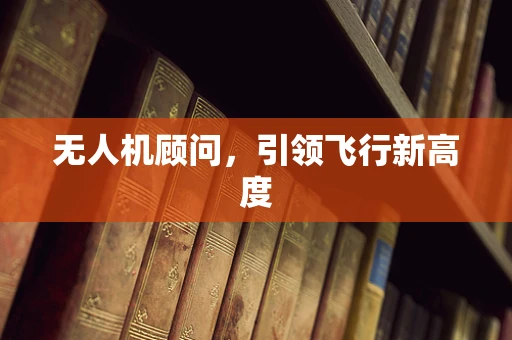 无人机顾问，引领飞行新高度