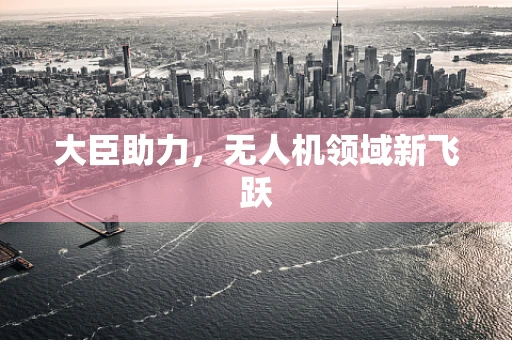大臣助力，无人机领域新飞跃