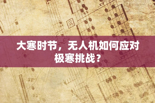 大寒时节，无人机如何应对极寒挑战？