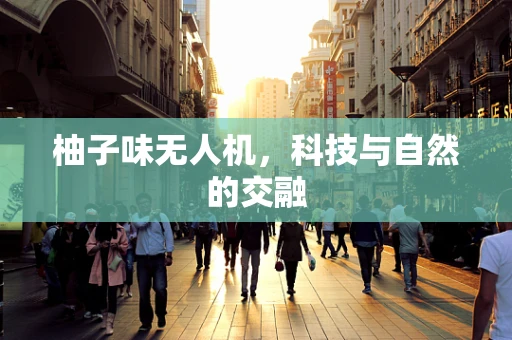 柚子味无人机，科技与自然的交融