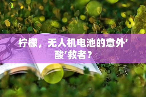 柠檬，无人机电池的意外‘酸’救者？