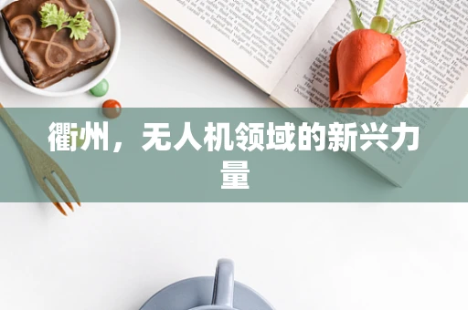 衢州，无人机领域的新兴力量
