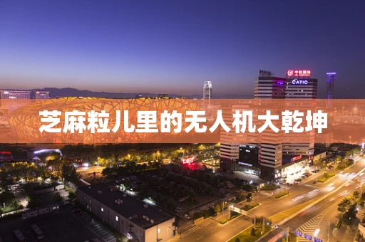 芝麻粒儿里的无人机大乾坤