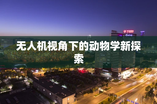 无人机视角下的动物学新探索