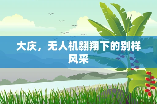 大庆，无人机翱翔下的别样风采