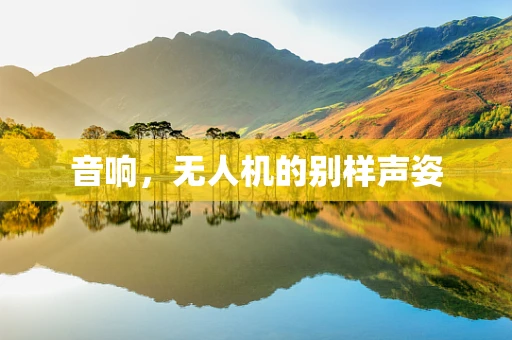 音响，无人机的别样声姿