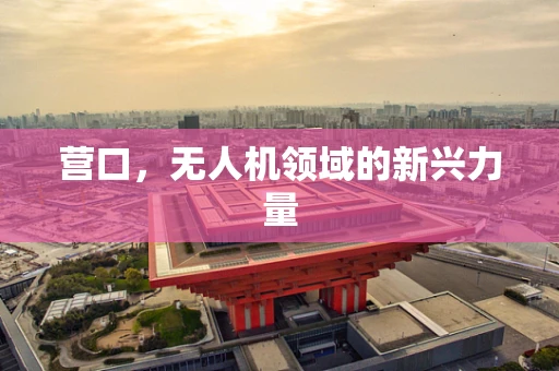营口，无人机领域的新兴力量