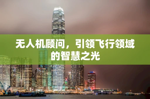 无人机顾问，引领飞行领域的智慧之光