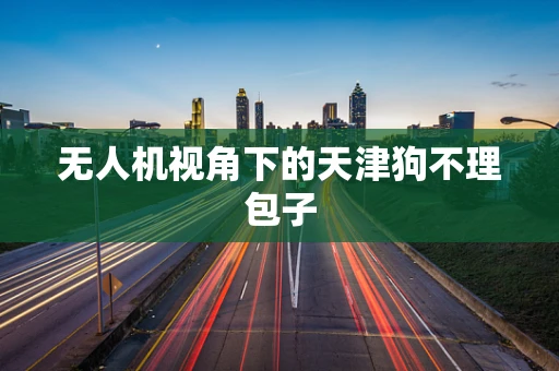 无人机视角下的天津狗不理包子
