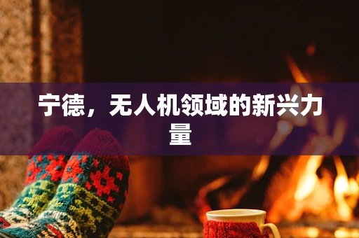 宁德，无人机领域的新兴力量