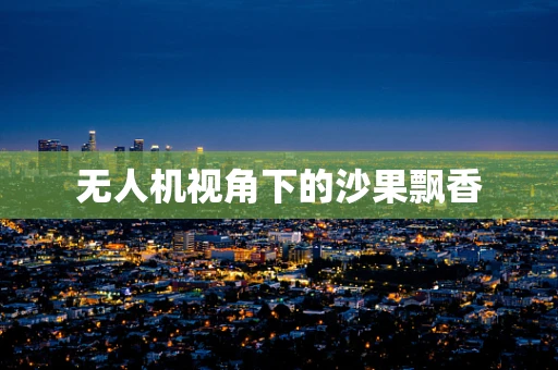 无人机视角下的沙果飘香