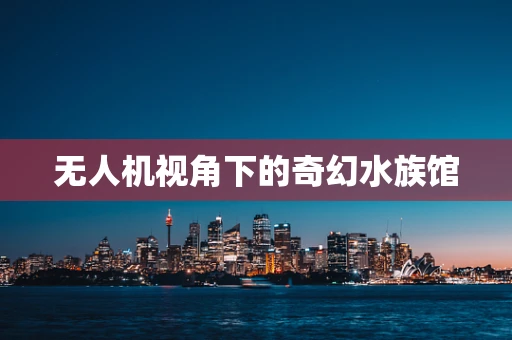 无人机视角下的奇幻水族馆