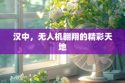 汉中，无人机翱翔的精彩天地