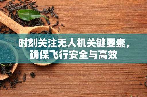 时刻关注无人机关键要素，确保飞行安全与高效