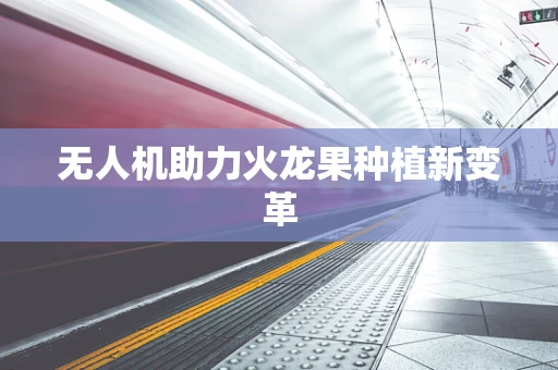 无人机助力火龙果种植新变革