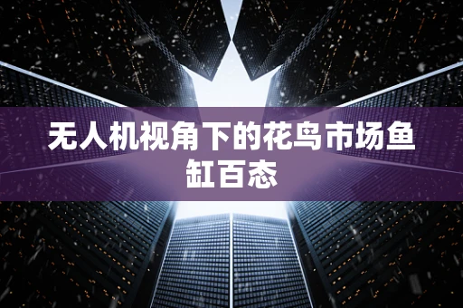 无人机视角下的花鸟市场鱼缸百态