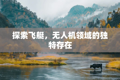 探索飞艇，无人机领域的独特存在