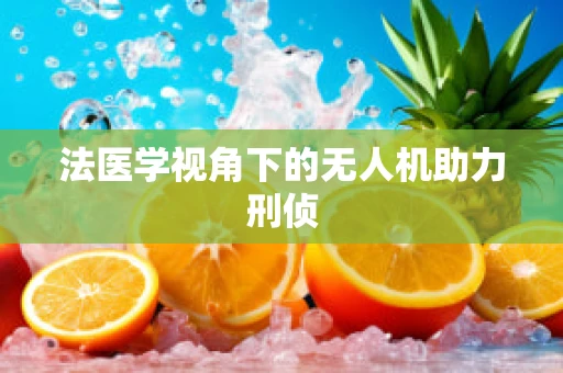 法医学视角下的无人机助力刑侦