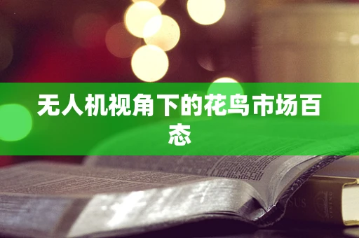 无人机视角下的花鸟市场百态