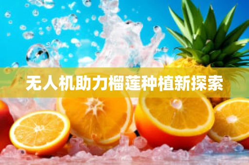 无人机助力榴莲种植新探索