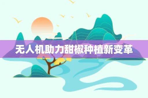 无人机助力甜椒种植新变革