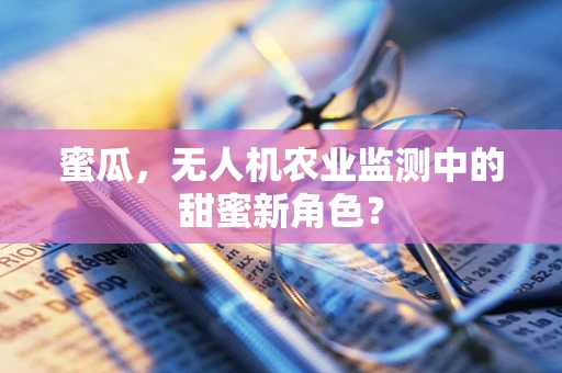 蜜瓜，无人机农业监测中的甜蜜新角色？