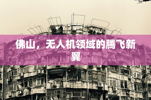 佛山，无人机领域的腾飞新翼