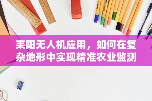 耒阳无人机应用，如何在复杂地形中实现精准农业监测？