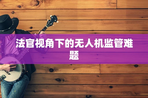 法官视角下的无人机监管难题